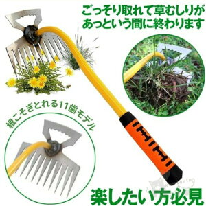 ������ ����蓹�� ������J�} ������ �c�[�� ������ �� �L ��� ������ �G������ �G����� 11�� ���ނ��� �G�� �� �������� �� TATOYA ���� �� �������� ��