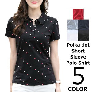  StEFA fB[X |Vc  hbg LC  Vv 傫TCY 20 30 40