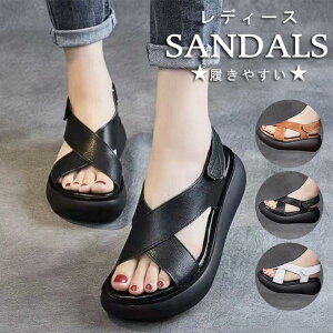 T_ fB[X X|[cT_ r[`T_ T}[   Xj[J[T_ }WbNe[v ꕔ[ Ȃ JWA V[Y  LC  Vv 20