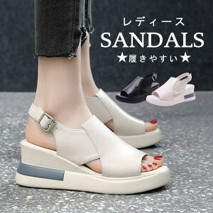 T_ fB[X X|[cT_ r[`T_ T}[   Xj[J[T_ ꕔ[ r Xbp Ȃ JWA V[Y  LC  Vv 20