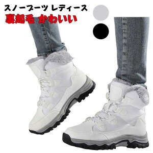 Xm[u[c fB[X 傫TCY kC h h Xm[V[Y  Ȃ hC ~C AEghA  y ʊw C 4e N 킢