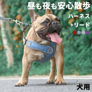 p n[lX [h 2_Zbg TCY ^ ^ ^ ˑf tN^[t Ռɘa Sy ʋC v   ϏՌ  ꂢ