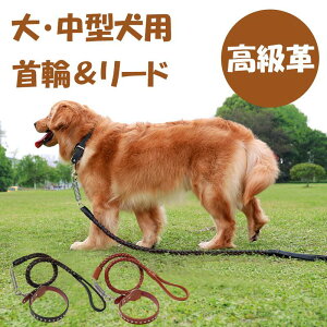 犬用 リード 首輪 革製 中型犬 大型犬 ペットリード レザー メタル スプリング付き 衝撃緩和 錆に強い 丈夫 頑丈 ちょっぴり かっこいい 耐衝撃 おしゃれ きれい