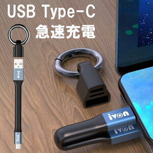 type-c P[u }[d Z iPhone15 P[u usb type-c P[u Android X}z [d ^Cvc P[u f[^] pixel galaxy [dP[u ϏՌ  ꂢ