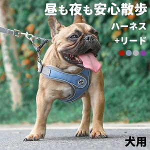 p n[lX [h 2_Zbg TCY ^ ^ ^ ˑf tN^[t Ռɘa Sy ʋC v   ϏՌ  ꂢ