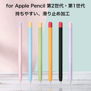 Apple Pencil 2 Jo[ Apple Pencil Obv VR AbvyV P[X i Jt  ^ z [dΉ 􂢉 ϏՌ  ꂢ