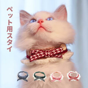 {}t[ Lp ybgp lR ANZT[ 킢 _炩  ϏՌ  ꂢ