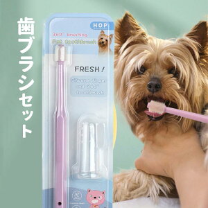 uV p wuV  2^CvSET 360°^ wuV Lp ybgp  炩 ɍז a\h L} ϏՌ  ꂢ