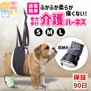  pn[lX n[lX s⏕ pn[lX pi s⏕ V [h 둫 VjA  ^ ^ ^ Ki U  LC  Vv 20 3