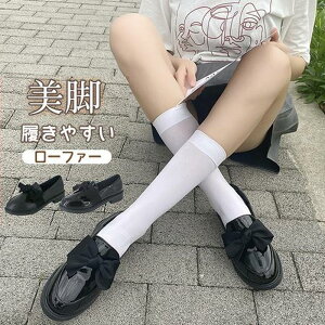 [t@[ tH[} fB[X XNGAg@ w V[Y JK pvX { ʋ ʊw XN[ JWA RC[t@[ C LC  Vv 20 30 40