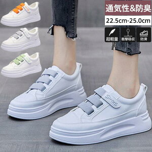 Xj[J[ fB[X  [Jbg ؂ Ռz gAbv JWA ~ ₷ 芴 Z RtH[g   ₷ ɂ LC  