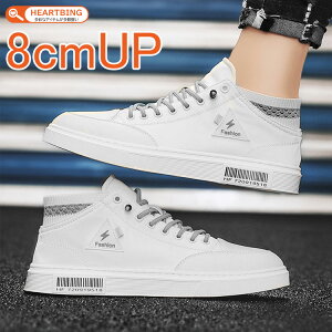 V[NbgV[Y Y Xj[J[@ gAbv8cm up8cm wȂ  C Xj[J[ Cq[ K JWA ₷ ɂ LC  Vv 20 