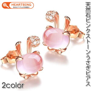 sAX  Vo[  VR sNXg[ t@bV fB[XsAX LC  Vv 20 30 40