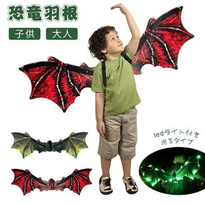 H   ΂  LED hS d ̉H   nEB RXv q l RX`[ EBO    ̎q j