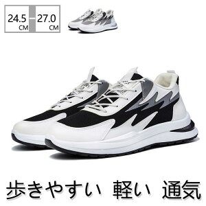 Xj[J[ Y jOV[Y ^C ʋC y h  _炩 WMO C ₷ ɂ U s ʊwC K  ʊw ʋ