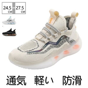 Xj[J[ Y jOV[Y ^C ʋC y h  _炩 WMO C ₷ ɂ U s ʊwC K  ʊw ʋ