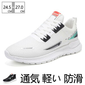 Xj[J[ Y jOV[Y ^C ʋC y h  _炩 WMO C ₷ ɂ U s ʊwC K  ʊw ʋ