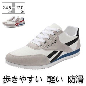 Xj[J[ Y jOV[Y ^C ʋC y h  _炩 WMO C ₷ ɂ U s ʊwC K  ʊw ʋ