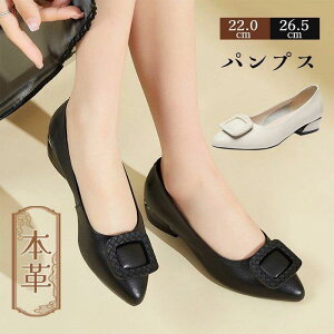  pvX {v [q[ 3cm v ɂȂ L C fB[X V[Y y  tH ʋ  EhhgD { N[g  t