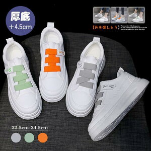 Xj[J[ [Jbg fB[X fB[X Xj[J[  EH[LO  LC    y Ȃ 킢 30 40 50 60