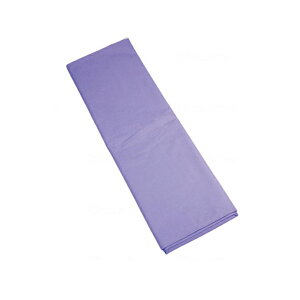 y[J[iz  p ȒP ړ ̈ʕϊ NbNX ~jEOXL[ 120×40cm