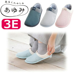 V[Y    킢 C Xbp s Y  SUTTO fresh XbgtbV