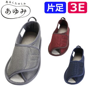 yБzV[Y    킢 C Xbp nr @  a@ { bV ɂ ]|\h Y  }WbN2 I[v / 2505 Б