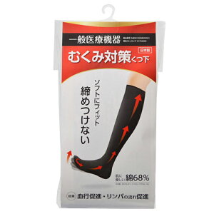 C \bNX  C eXgbLO i    \tg  ݂ނ ނݑ΍C ^591413