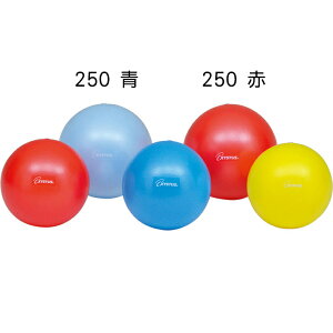 Mtg hV̓ v[g g[jO nr ^ P GNTTCY {[ ̊ oX{[ ̗ ؗ ؃g g[GCCg seBX{[250