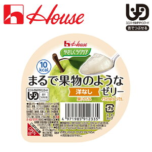 H Hi fU[g v [[  Vl ₳NPA ܂ŉʕ̂悤ȃ[[ mȂ / 091233 60g [yŗ]yԕiszyz