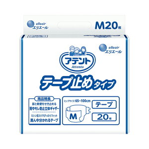 Aeg e[v~߃^Cv M / 21001176 20lp p ނ Ic ނ Icyԕisz