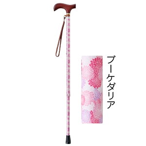 yւSv[gz  Lk y  j jp  킢 ԕ X ׂ   XebL v[g Mtg EFt@ CtXebL Lk^X