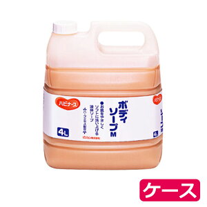 Mtg hV̓ v[g {fB\[v / 11904 4L×3{P[X̔