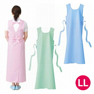  pi pGv  GȂ h C pGv LL