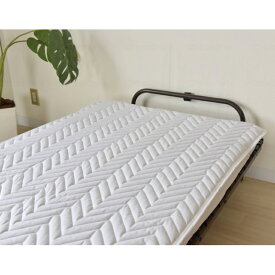 介護 寝具 清潔 消臭 防ダニ 99.9%減菌 ベッドパッド TC20-BP ホワイト
