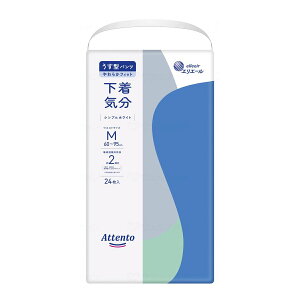 lpނ  A Ic pc 剤 Aeg ^pcC VvzCg M 24 21000022yԕisz