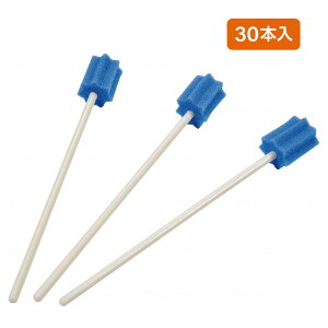 oPA o X|W }EXEHbV  { a@ n~Obh P / MHGP30 30{ yԕisz