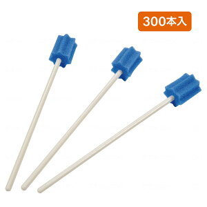 oPA o X|W }EXEHbV  { a@ n~ObhP 300{ MHGP300yԕisz