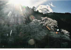 H Ղ̎ʐ^ n R̐_ J^A[g J^ACe J^ObY  G 摜 ʐ^ J^ K^ J^CeA ^CAbv J^tHg J^ʐ^ Xs`AObY N j