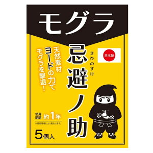 m Op×2Zbg    K[h Oގ O ގ  쏜 Ef [h hbpi Qb΍ O O O쏜 O΍ K[fjO _ 