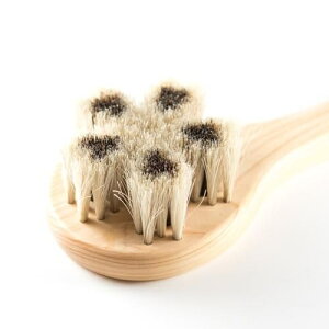 󑐃A[guV nт̃{fBuV  Cu/A_ {fBuV oXpi A[guV n ` ^uV n n VR {fB uV C ObY VR