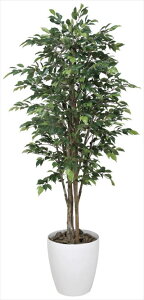 yizyszCxW~1.8m 151C580-28 lHϗt tFCNO[  ϗtA lH G} lHϗtA Mtg Vzj JXj hV̓ ̓ ̓ a 