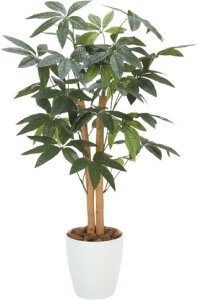 yizyszpL90 209A100-40 lHϗt tFCNO[  ϗtA lH G} lHϗtA Mtg Vzj JXj zj hV̓ ̓ ̓ a o[