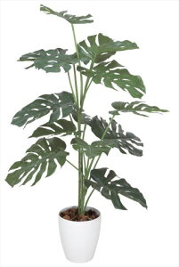 yizyszXe1.2m 369C175-42 lHϗt tFCNO[  ϗtA lH G} lHϗtA Mtg Vzj JXj zj hV̓ ̓ ̓ a 