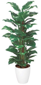 yizysz|gX1.2m 187B200-43 lHϗt tFCNO[  ϗtA lH G} lHϗtA Mtg Vzj JXj zj hV̓ ̓ ̓ a o[