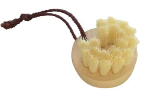 eco v`muV muV ыʎ 󑐃A[guV 񂽂ыʎ ыʎuV dグpmuV  A[guV 񂽂ыʎuV ыʂƂ ыʎ uV 