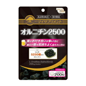 �}�C�T�v�������g�@�I���j�`��2500