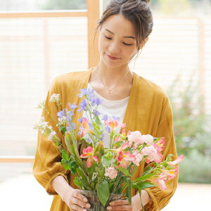 CG[Tt@CAy_g sNS[hJ[ ID-562 lbNX y_g fB[XWG[ ANZT[ WG[ CG[Tt@CA   CG[ F K^