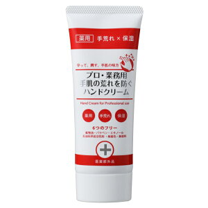 ylR|Xzyz[} vEƖp 蔧̍rhnhN[ 60g×2Zbg p nhN[ nhPA vƖpnhN[ r  Ђт 