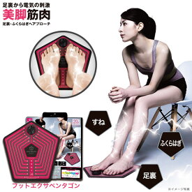 EMS for Foot フットエクサペンタゴン ダイエット器具 ダイエット 下半身 すね 足裏 ふくらはぎ 電気刺激 筋肉 トレーニング 美脚 EMSマシン 筋トレ レディース グッズ おすすめ 通販 人気